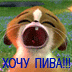 Аватар для bender42