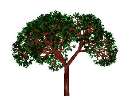 Исходник программы, показывающей пример визуализации рекурсивно созданного 3D дерева