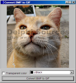 Исходник программы, показывающей пример создания компонента для полноценной работы с GIF изображениями