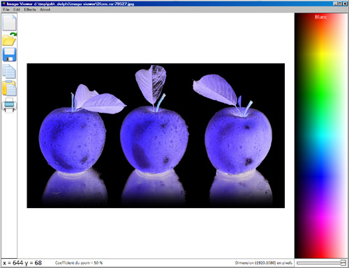 Исходник программы, показывающей пример создания программы для просмотра растровых изображений