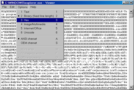 Исходник программы, предназначенной для просмотра файлов различных форматов